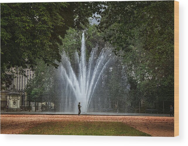 Parc De Bruxelles Wood Print featuring the photograph Parc de Bruxelles Fountain by Joan Carroll