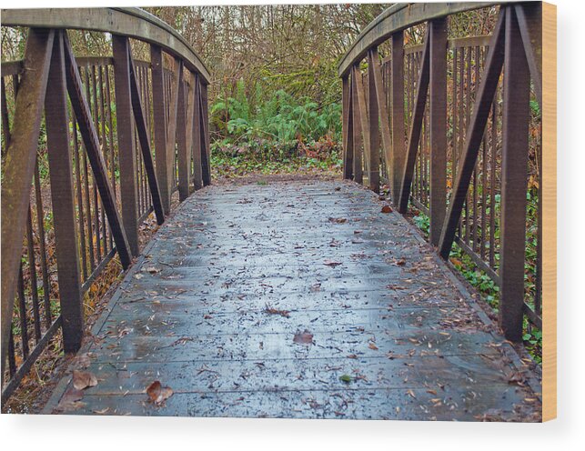 Handrails Wood Print featuring the photograph Park Bridge by Tikvah's Hope