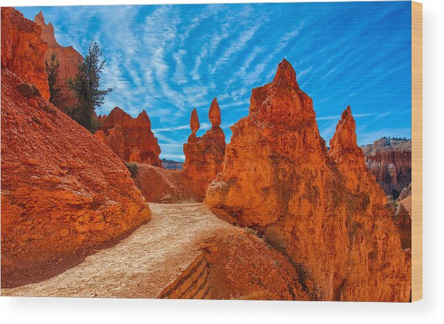 Landscape Wood Print featuring the photograph Passages by John M Bailey