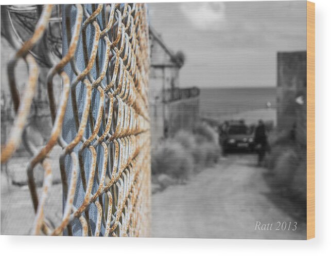 Fence Wood Print featuring the photograph Path along the fence line by Michael Podesta 