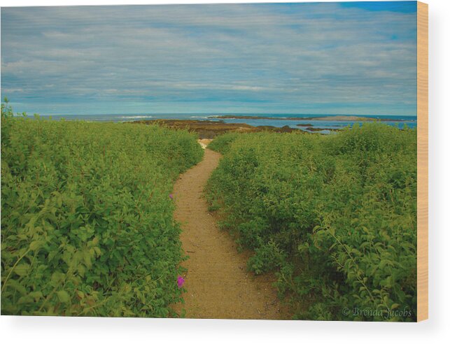 Biddeford Wood Print featuring the photograph Path to Blue by Brenda Jacobs