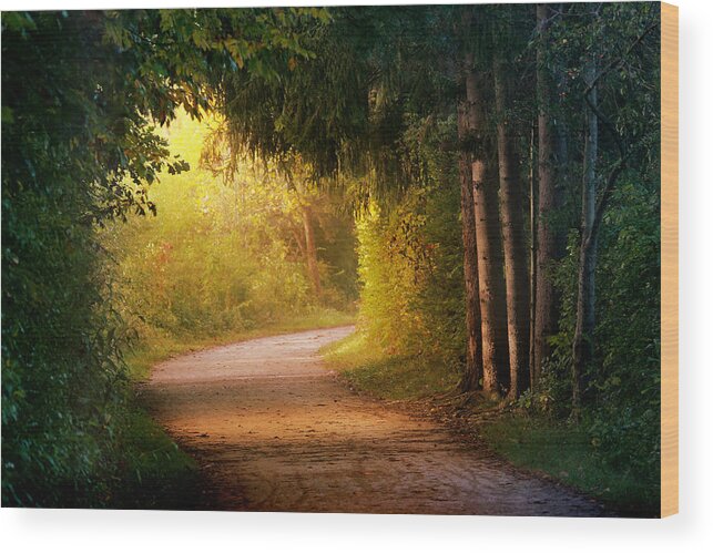 Trail Wood Print featuring the photograph Path to Enlightenment by Rob Blair