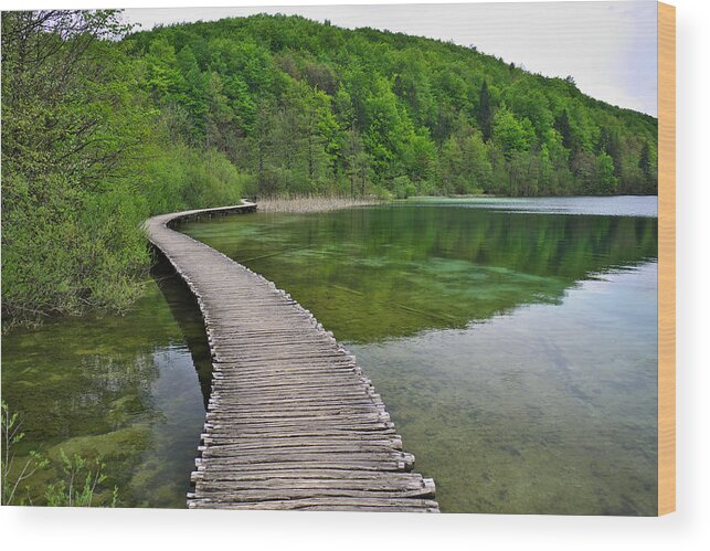 Adventure Wood Print featuring the photograph Path to... by Ivan Slosar