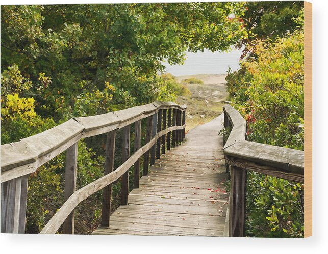 Path Wood Print featuring the photograph Path to the Beach by Nancy De Flon