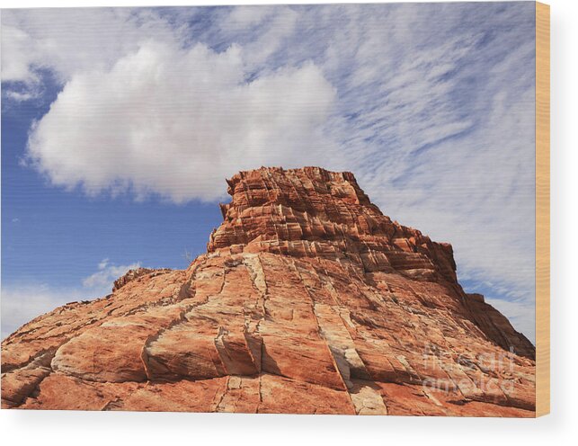 Nevada Wood Print featuring the photograph Patterns by Bob Christopher