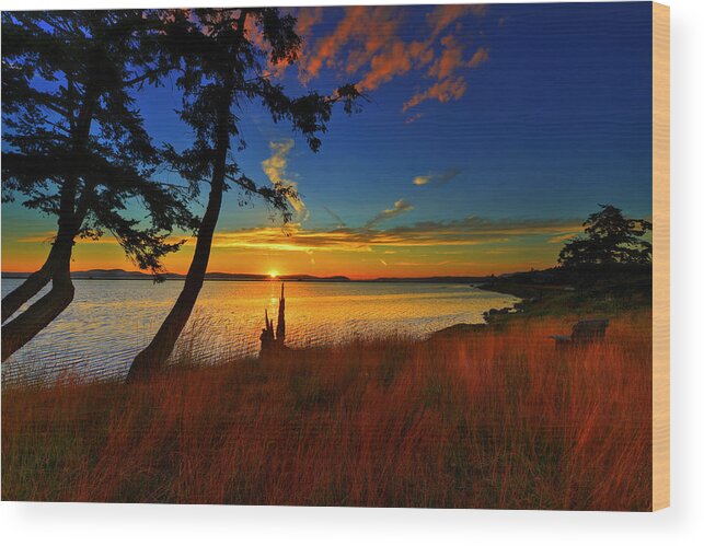 Long Summer Sunset - Paul Harrett Wood Print featuring the photograph Paul Harrett by Long Summer Sunset