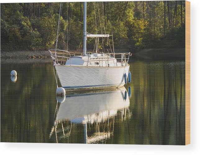 Sailing Wood Print featuring the photograph Pause by Randy Wood