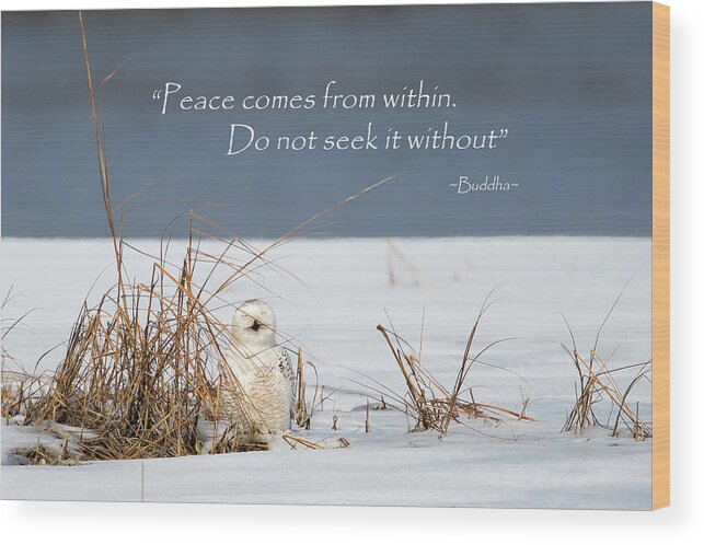 Quote Wood Print featuring the photograph Peace by Bill Wakeley