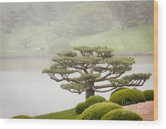 Japanese Garden Wood Print featuring the photograph Peace by Patty Colabuono