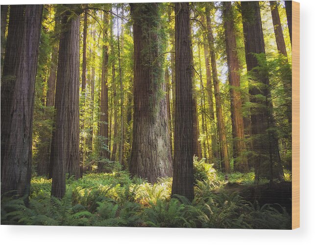 2013 Wood Print featuring the photograph Peaceful by Carrie Cole