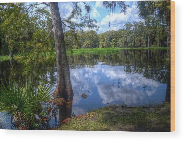 Florida Wood Print featuring the photograph Peaceful Florida by Timothy Lowry