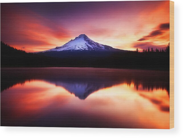 Trillium Lake Wood Print featuring the photograph Peaceful Morning on the Lake by Darren White