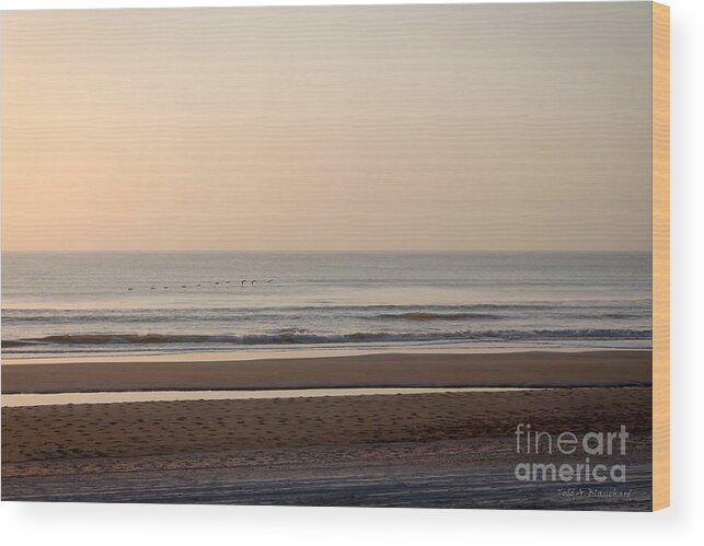 Landscape Wood Print featuring the photograph Peaceful Sunrise by Todd Blanchard