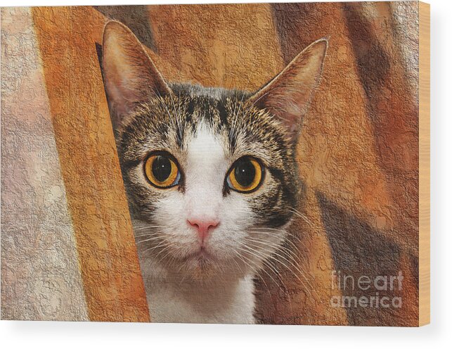 Animal Wood Print featuring the photograph Peek A Boo I See You by Andee Design
