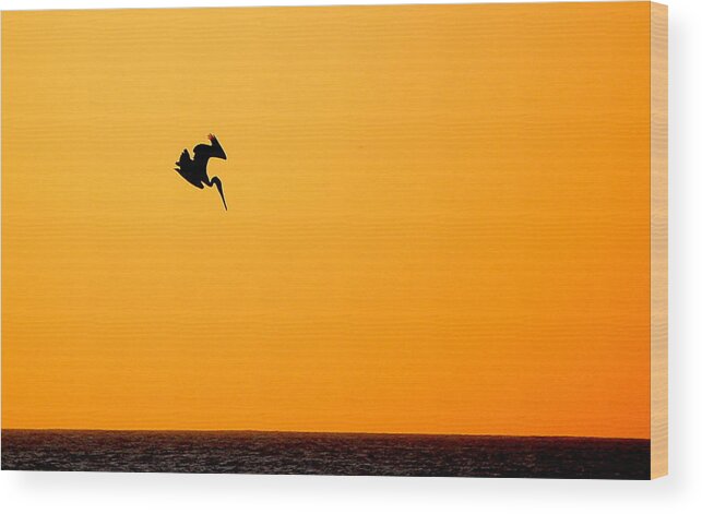 Scenic Wood Print featuring the photograph Pelican Diving at Sunset by AJ Schibig