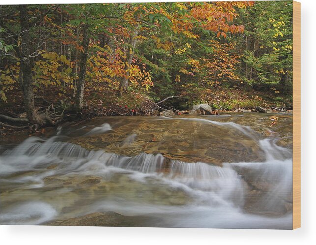 New Hampshire Wood Print featuring the photograph Pemigewasset River Cascades in Autumn by Juergen Roth