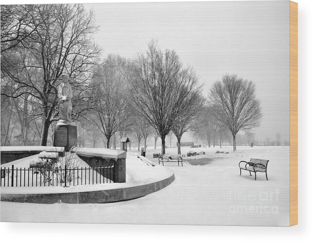 Penn Treaty Park Wood Print featuring the photograph Penn Treaty Park Entrance by Andrew Dinh