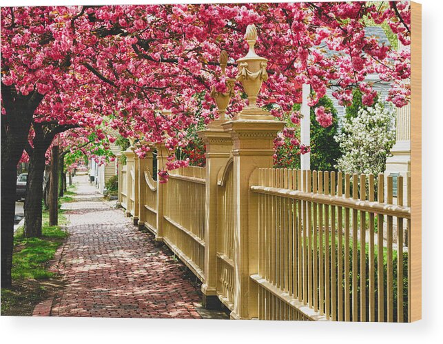 Salem Wood Print featuring the photograph Perfect time for a spring walk by Jeff Folger