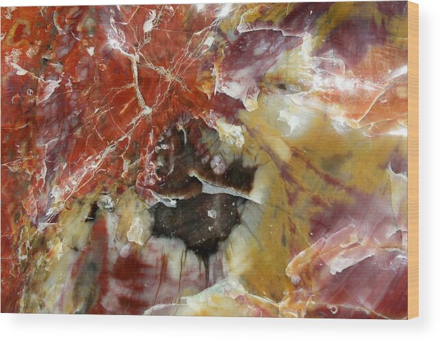 Landscapes Wood Print featuring the photograph Petrified Wood by Douglas Miller
