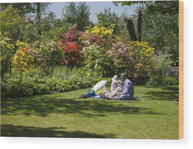 Ness Wood Print featuring the photograph Summer Picnic by Spikey Mouse Photography