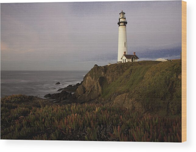 Pigeon Point Lighthouse Wood Print featuring the photograph Pigeon Point Lighthouse by Jim Snyder