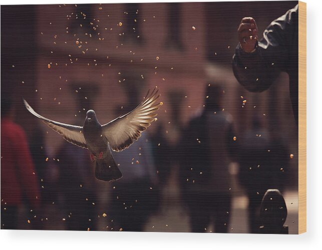 Street Wood Print featuring the photograph Pigeons In Patan Square, Kathmandu-nepal by Dan Mirica