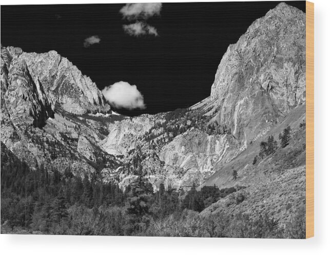 Black Wood Print featuring the photograph Pine Creek by Cat Connor