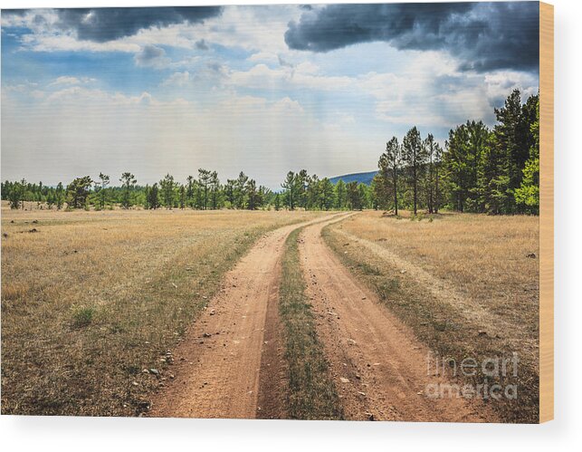 Forest Wood Print featuring the photograph Pine forest landscape by Konstantin Sutyagin