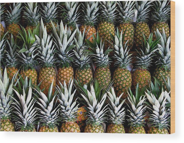Pineapples Wood Print featuring the photograph Pineapples by Gia Marie Houck