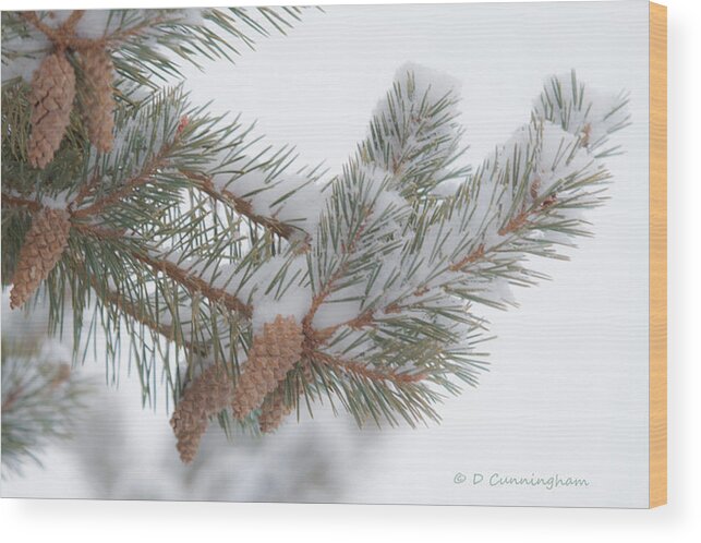 Pinecones Wood Print featuring the photograph PineTree Limb and Snow by Dorothy Cunningham