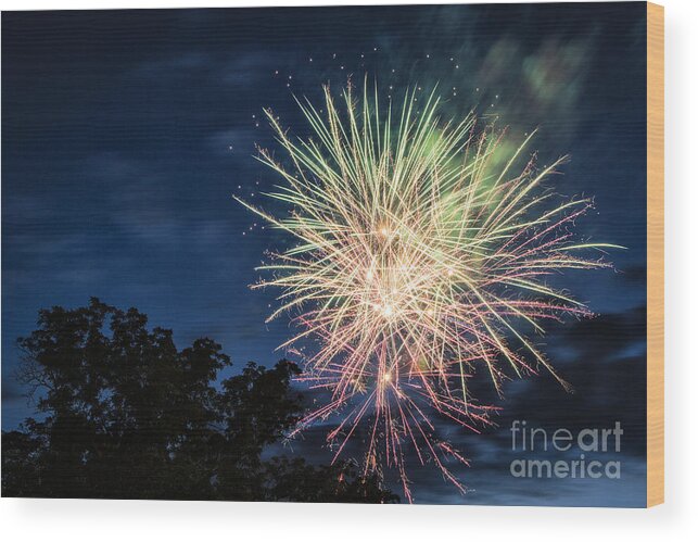 Fireworks Wood Print featuring the photograph Pink and Green by Timothy Hacker