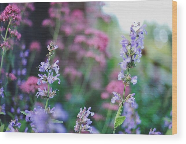 Purple Wood Print featuring the photograph Pink And Purple Flowers by Carlina Teteris