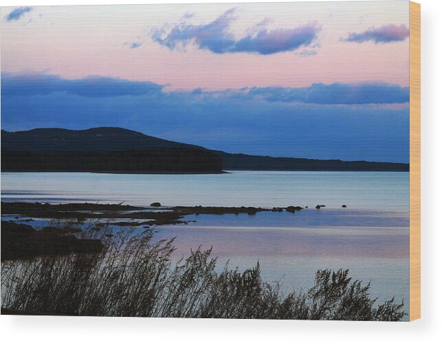 Sunset Wood Print featuring the photograph Pink Sunset in kingston by Lily K