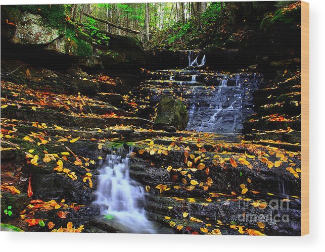 Water Wood Print featuring the photograph Pipestem Beauty by Melissa Petrey