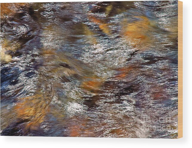 Pisgah Wood Print featuring the photograph Pisgah Forest - Liquid Color by Allen Carroll