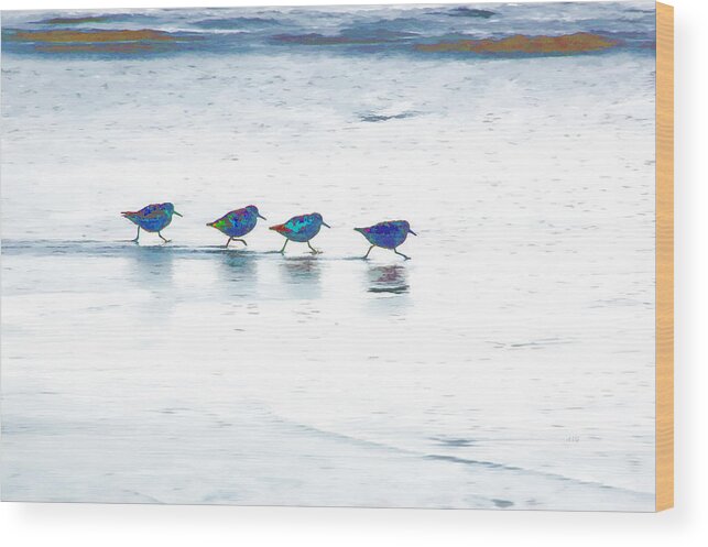 Beach Wood Print featuring the photograph Plovers in a Row by Allan Van Gasbeck