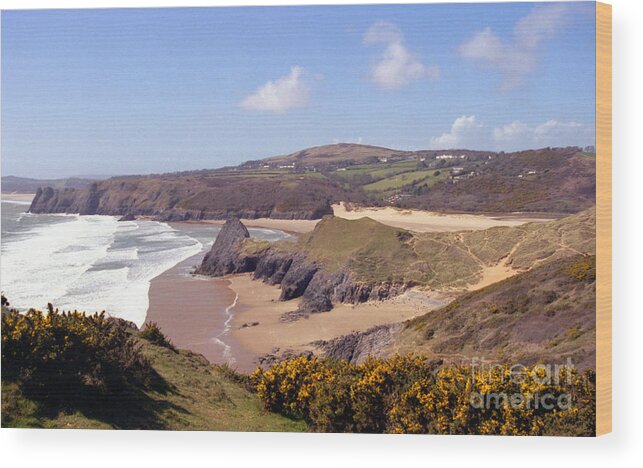 Three Cliffs Bay Wood Print featuring the photograph Pobble beach and Three Cliffs Bay by Paul Cowan
