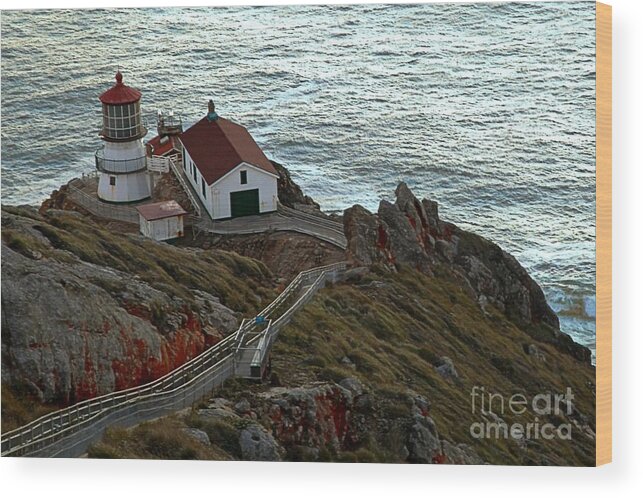 Point Reyes National Seashore Wood Print featuring the photograph Point Reyes Lighthouse by Adam Jewell