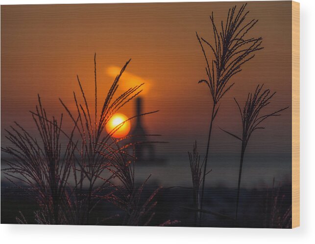 Sunrise Wood Print featuring the photograph Points of Light by James Meyer