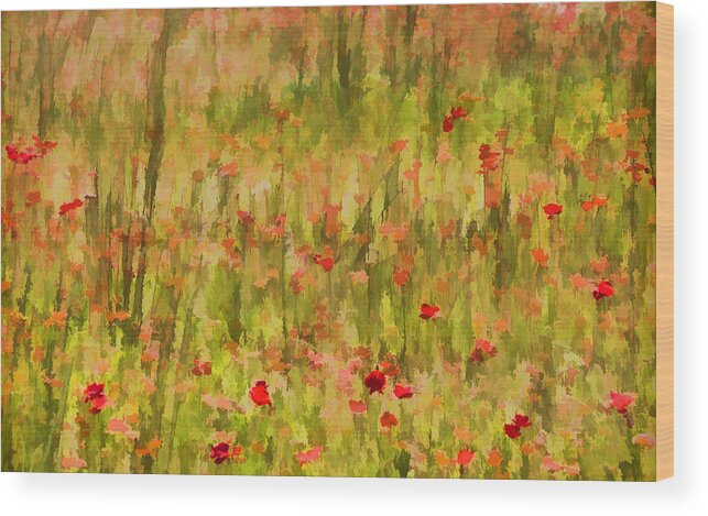 Flowers Wood Print featuring the painting Poppies of Tuscany by David Letts