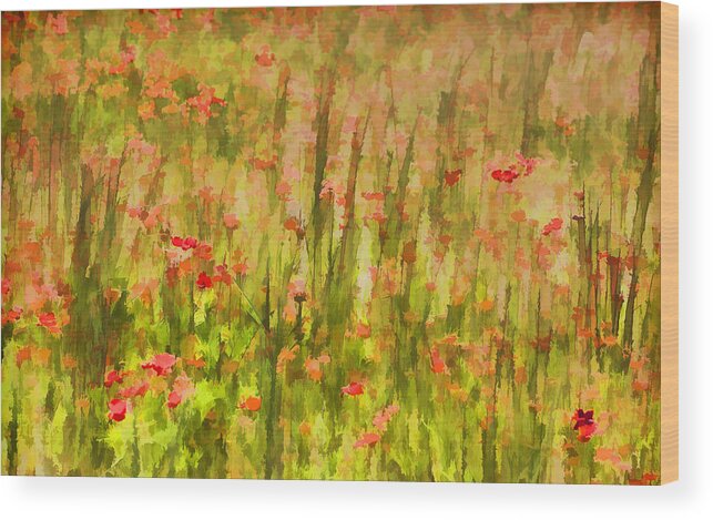 Flowers Meadow Wood Print featuring the painting Poppies of Tuscany II by David Letts