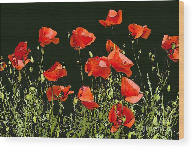 Georgetown Wood Print featuring the photograph Poppy Art by Bob Phillips