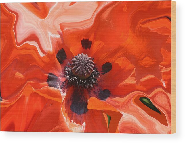 Flowers Wood Print featuring the photograph Poppy Nest by Jim Baker