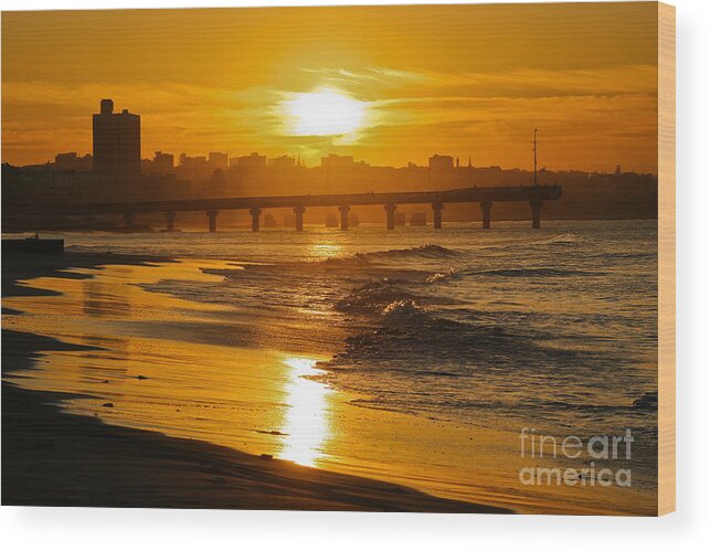 Port Elizabeth Wood Print featuring the photograph Port Elizabeth Sunset by Jennifer Ludlum