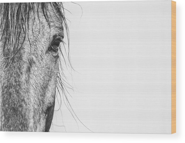 Wild Wood Print featuring the photograph Portrait of a Wild Mustang by Bob Decker