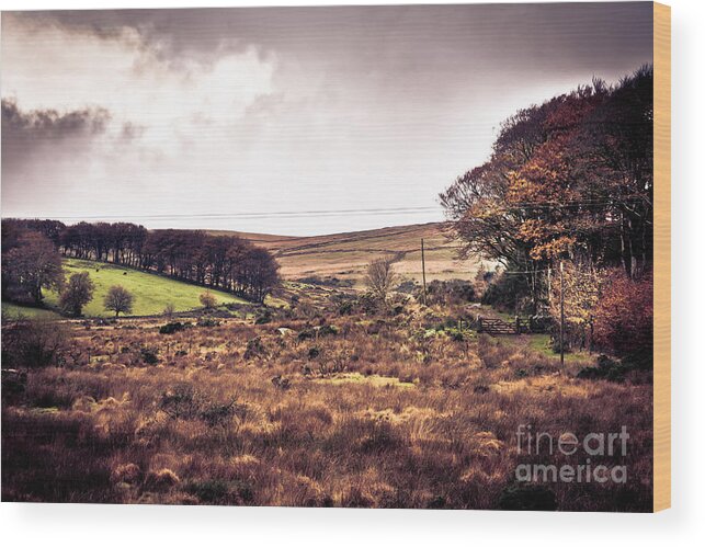 Dartmoor Wood Print featuring the photograph Postbridge on Dartmoor by Jan Bickerton