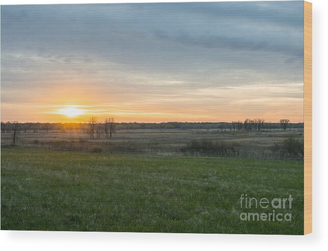 Prairie Sunset Wood Print featuring the photograph Prairie Comet by Dan Hefle