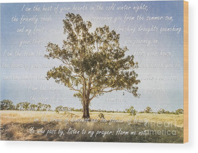 Tree Wood Print featuring the photograph Prayer of the Woods by Linda Lees