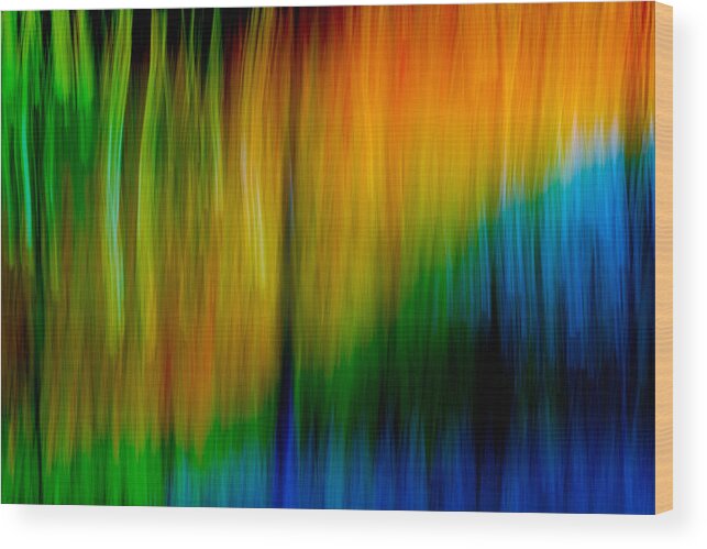 Abstracts Wood Print featuring the photograph Primary rainbow by Darryl Dalton