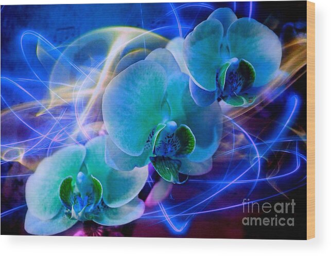 Orchids Wood Print featuring the photograph Prismatic Orchid Swirl by Judy Palkimas